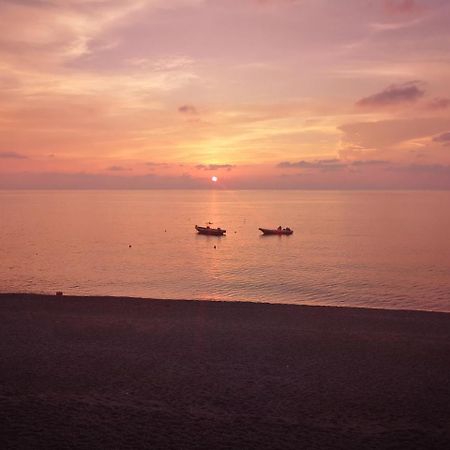Camping B&B Gioiosa Gioiosa Marea Dış mekan fotoğraf